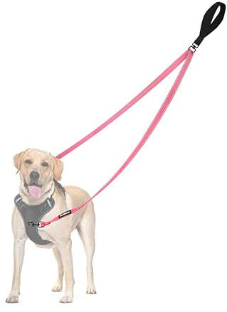 PetBonus Laisse Anti-Traction pour Chien, Double Laisse Anti-Traction réfléchissant, pour l'entraînement et la Marche, pour Chiens de Grande Taille et Moyenne (Rose)