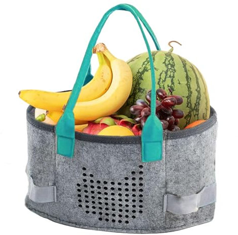 GjnjfdF Caso de Reproductor de Audio, Caso de Transporte de Fieltro - Bolsa de Almacenamiento Bolsa de Almacenamiento - Cajas y Cubiertas de Teclado, Accesorios de Instrumentos Musicales, Transporte