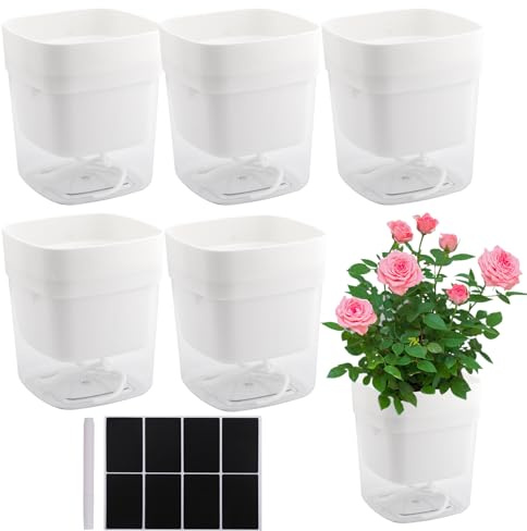 CHUIFAI Juego de 6 macetas de 12 cm para Hierbas, autoriego, Transparentes, autorriegas, macetas con autorriego, rectangulares, para Hierbas de Cocina, Plantas de Interior