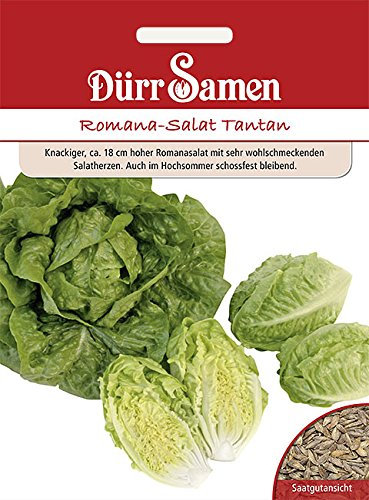 Dürr-Samen - Romana-Salat Tantan Saatgut