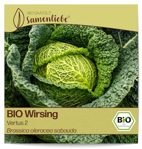 Samenliebe BIO Wirsing Samen alte Sorte Vertus 2 mild feiner Herbstwirsing plattrunder Kohl 200 Samen samenfestes Gemüse Saatgut für Gewächshaus Freiland und Balkon BIO Gemüsesamen winterhart