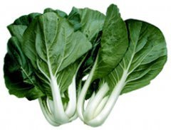Cabbage Pak Choi White Stem Great Heirloom Vegetable Seeds by Seed Kingdom (2,500 Seeds)