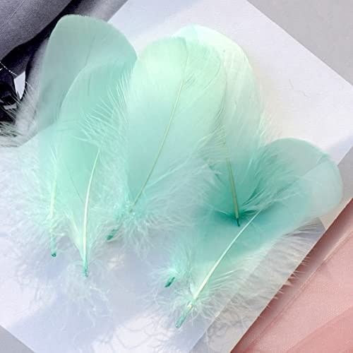 100 Pieces Ice Green Natural Goose Craft Feathers Bulk, 3-5Inch Colorful Small Feathers for Holloween Costumes Thanksgiving Mask Arts Crafts Projects Home Decoration