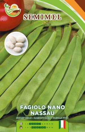 Fagiolo Nano Nassau - Semi di Fagiolo Mangiatutto, Baccello Piatto Verde, Raccolta Precoce, 50g 1 confezione