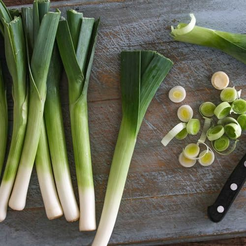 Eden Brothers Leek Seeds - Early Giant