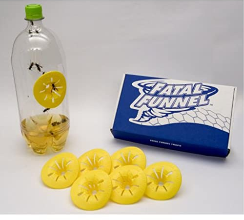 Fatal Funnel FFW-6P Wasp and Hornet Traps, 6-Pack