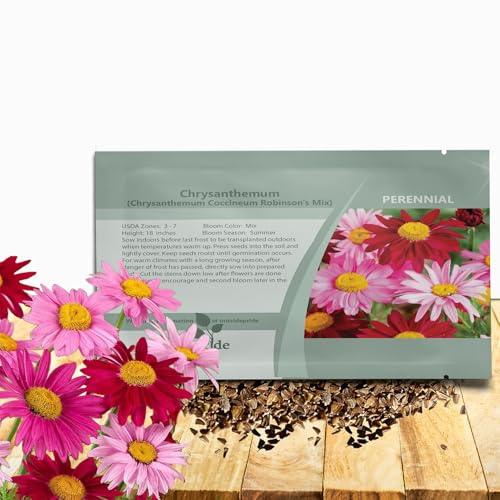Outsidepride Robinson's Mix Chrysanthemum Seeds - 5000 Pcs. Perennial, Drought Tolerant Flower Seeds for Planting in Pollinator Gardens, Cut Flowers & Low Maintenance Landscaping