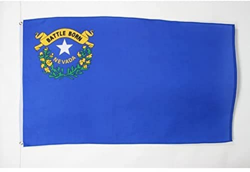 BANDIERA NEVADA 90x60cm - BANDIERA STATO AMERICANO – USA - STATI UNITI 60 x 90 cm - AZ FLAG