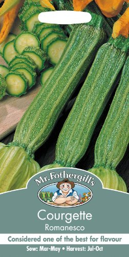 Mr Fothergills - Pictorial Packet - Vegetable - Courgette Romanesco - 25 Seed