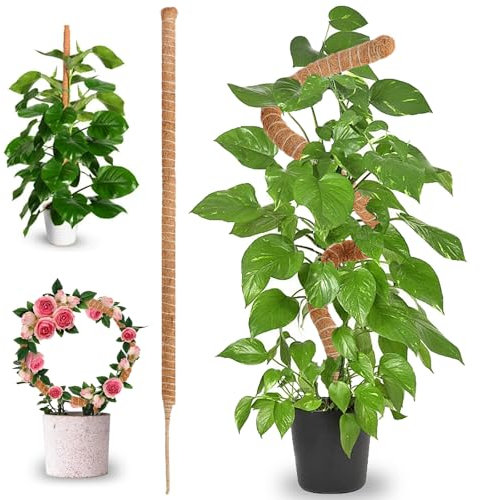 Tuteur Plante Pliable - Tuteur Plante Grimpante - Tuteur Monstera - 70 cm - en Fibre de Coco, Flexible, pour Plantes grimpantes d'intérieur - idéal pour Soutenir et Guider la Croissance des Plantes
