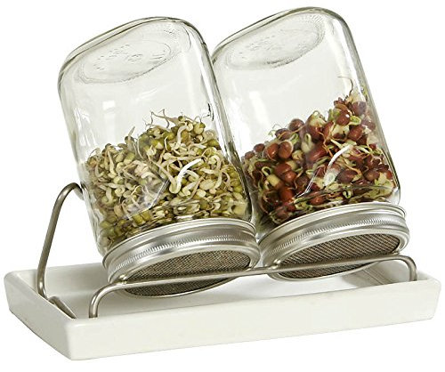 Eschenfelder Sprossengläser System II 1000ml weiß | Edelstahl | Herstellung in Deutschland | Keimsaaten