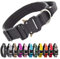 TSPRO Premium Hundehalsband mit Griff Dickes Verstellbares Taktisches Hundehalsband Schwere Ausführung Schnellverschluss Metallschnalle für Mittelgroße bis Große Hunde (M- Schwarz)