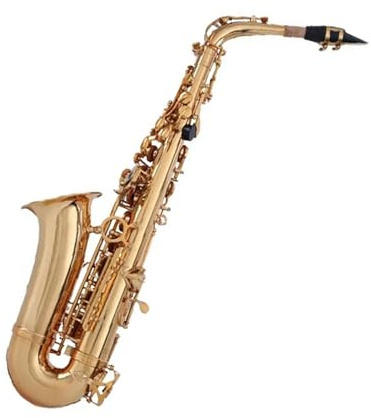Professionell Saxofon Professionellt Instrument För Vuxna Och Nybörjare I Ess altsaxofon
