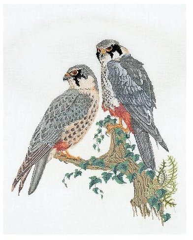 Thea Gouverneur - Kreuzstich-Set - Falken - Leinen - 32 Count - Für Erwachsene - 2024