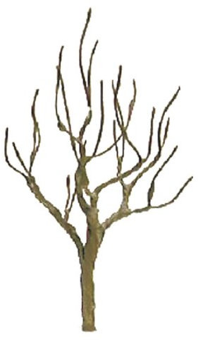 JTT Scenery Products Armaduras profesionales para árboles: de hoja caduca, 5 cm