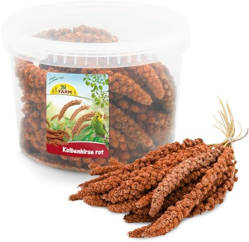 JR FARM Birds Kolbenhirse rot im Eimer 500 g