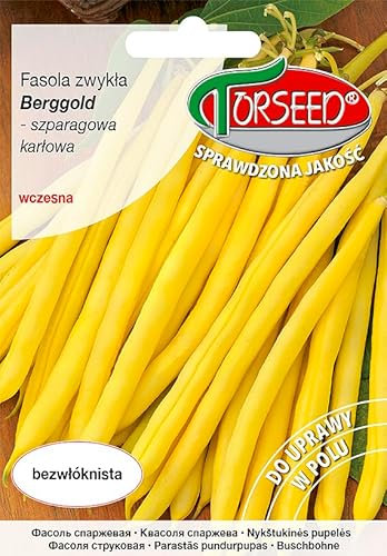 Verdica Semillas de frijol enano de Berggold (Phaseolus vulgaris) – Vainas amarillas tempranas, 35-50 cm de altura, vainas sin fibra, perfectas para conservas y congelación, amantes del calor, cosecha
