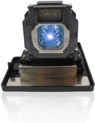 Poxtedsr ET-LAE4000 ersättningslampa för projektorlampa kompatibel med Panasonic PT-AE4000/PT-AE4000U/PT-AE4000E, med hölje