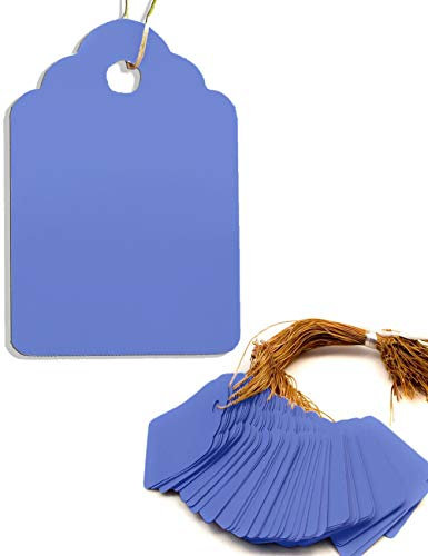 HomeTools.eu® - Lot de 100 pendentifs pour plantes avec ficelle, pour étiqueter les plantes, arbustes, résistant aux intempéries, plastique 3,5 x 2,5 cm, bleu.