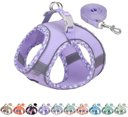 AIITLE Ensemble Harnais et Laisse pour Chien pour la Promenade, Harnais pour Chiot, Bandes réfléchissantes, pour très Petits Chiens et Chats domestiques Violet XXS