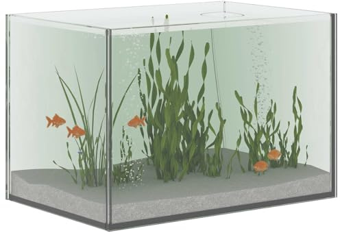 Aquarium en Verre, Aquarium Nano Tank Fish Tank Bocal à Poissons Transparent 30x20x20 cm Verre