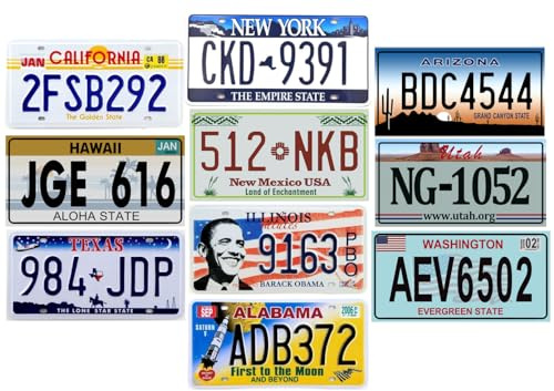 - Lot de 10 PLAQUES D' IMMATRICULATION de Voiture USA en métal - répliques de Vraies plaques américaines V1BIS