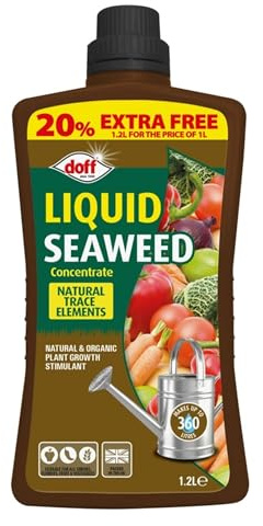 Doff Liquid Seaweed Plant Feed Concentrate - All Purpose Plant Food Fertiliser 1.2L Makes 360L - Natural Plant Growth Stimulant - Organic Plant Food.
