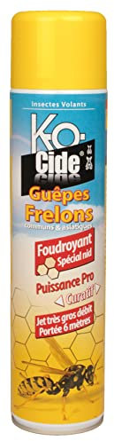 K-OCIDE - Foudroyant Guêpes et Frelons - Destruction Nids - Longue Portée - Très Gros Débit - 600 ml