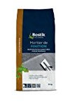 Mortier Finition Gris 10 kg Bostik