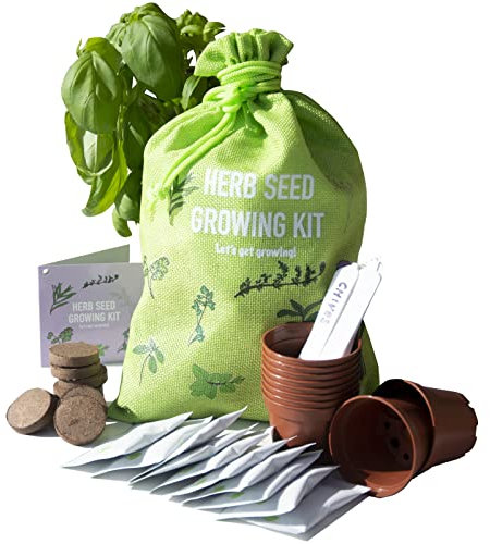 Scott&Co. Herbs Seed Kit, 10 Different Herb Seed Varieties to Grow Your Own, Basil, Coriander, Chives and More. Seeds, Pots, Plant Labels and Compost, Christmas Gifts for Women and Men.