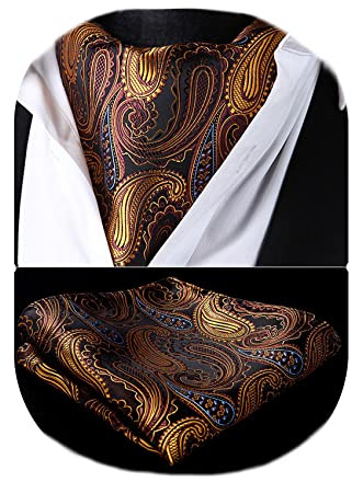 HISDERN Cravate Ascot Homme Cravates Et Mouchoir Ensemble Cravate Paisley Formelle Mariage Élégant Cravate Jacquard Foulard Ascot Homme,Brun,Taille unique
