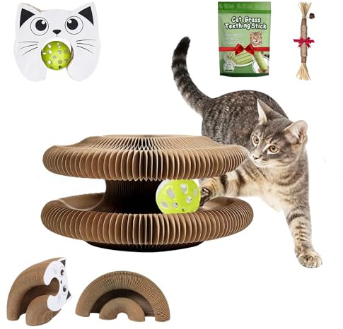 Twisty Paws, Giocattolo interattivo per gatti, con organo magico, tiragraffi pieghevole per interni, set di cartone con palla, bastoncini dentali, bastoncino da masticare Silvervine, giocattolo per