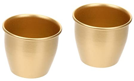 MERRYHAPY 2pezzi Vaso Metallico Per Piante Contenitore Elegante Per Succulente e Cactus Decorazione Per Interni Ed Esterni Per Casa Giardino e Ufficio