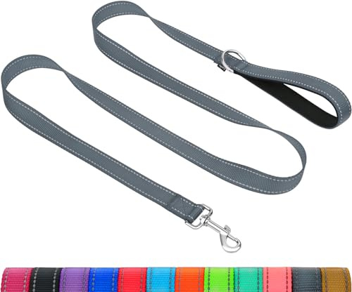 Taglory Guinzaglio per Cani Riflettente con Manico Imbottito e Gancio in Metallo, Nylon Resistente Addestramento Cane Guinzaglio, 1.2 m x 2.0 cm, Grigio