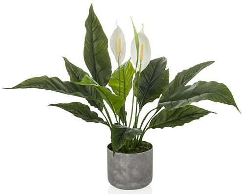 hjh OFFICE Konstgjord växt Spathiphyllum 1 – vintergrön konstgjord växt ca. 60 cm | Vackert äkta, lättskött, luktfri och dekorativ