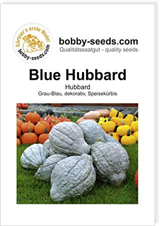 Blue Hubbard Kürbissamen von Bobby-Seeds, Portion