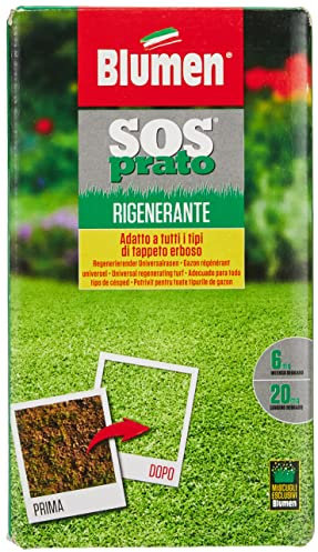 Blumen Prato Forte RIGENERANTE, Verde