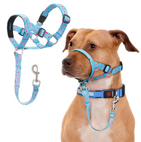 DOMIGLOW No-Pull Dog Head Collar, Print Head Halter Collar for Dogs, Gentle Lead to Stop Heavy Pulling, Anti-Pull Training Muzzle Leash for Easy Control on Walks (Blue, Small)