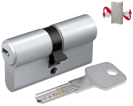 BASI | BM Schließzylinder | gleichschließend und frei kombinierbar | Viele Längen verfügbar | Wendeschlüssel | Profilzylinder für Haus und Wohnung | Doppelzylinder N+G A:30 mm B:30 mm