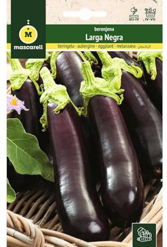 Mascarell Semillas, BERENJENA, Semillas Huerto, BERENJENA LARGA NEGRA, Crea tu Propio Huerto Urbano y Cultivo en Casa, Plantas Hortícolas, 3 Gramos