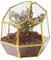 NCYP 19 cm Kleines, Geometrisches Glas-Terrarium mit Tür, Tischplatte aus Messing, unregelmäßiger Übertopf für Sukkulenten-Kakteenpflanzen, Garten-Blumentopf, Geschenk (nur Terrarium)