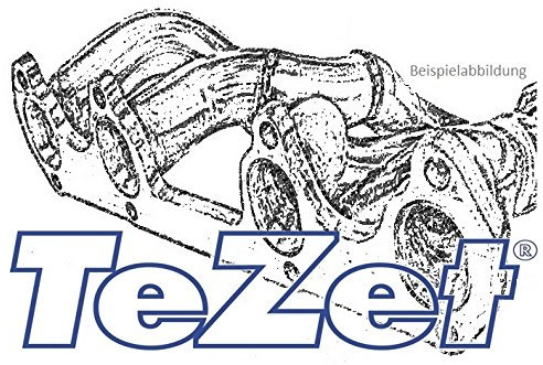 TeZet Fächerkrümmer - Nr. 10 C036 - Leistungssteigerung für Serien- oder Sportauspuff