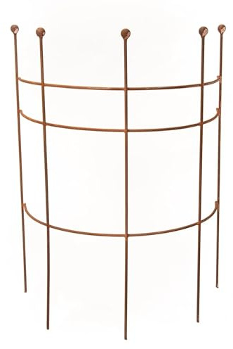 ecosoul Flerårig hållare buskhållare perennstöd rankställning halvcirkelbrun rost spaljé metall järn dekoration 85 cm hög 1 st (50 cm bred x 85 cm hög)