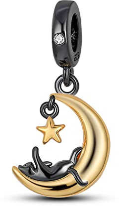 Pandach Damen Charm Anhänger für Armband 925 Sterling Silber Charms Beads passend für Armband und Halskette, Kompatibel mit Europäischen Armbänder für Frauen Mädchen