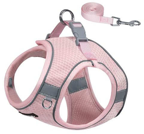 AIITLE Hundegeschirr und Leinen-Set, kein Ziehen, Einsteigen, Welpengeschirr mit super atmungsaktivem Netzgewebe, reflektierendes Outdoor-Spaziergang, Training für kleine Hunde, Katzen, Rosa, XS