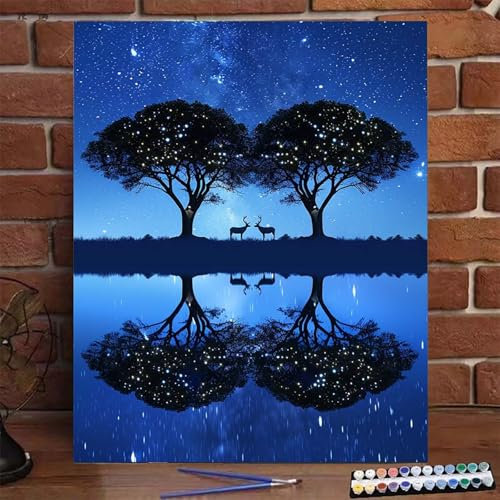 Pintar Numeros Adultos Cielo Estrellado, Cuadros para Pintar por Numeros DIY para Principiantes Adultos Paisaje, Pintar con Numeros con Pinceles Accesorios Pintura Acrílica, 50x65cm (con Bastidor) 9-6