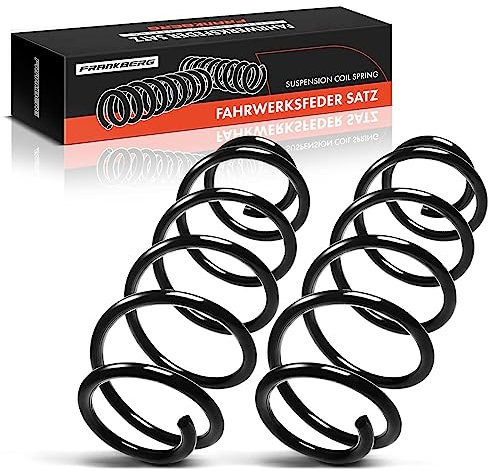 Frankberg 2x Federn Fahrwerksfeder Hinterachse Kompatibel mit B-Klasse W245 B150 B170 B180 B200 1.5L-2.0L 2005-2011 Replace# 1693243104