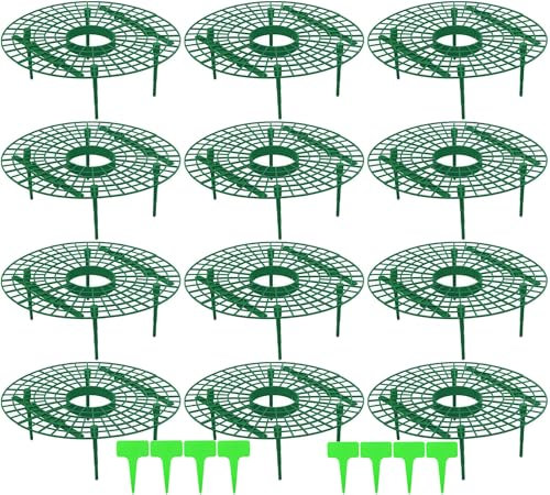 AMZMUKAUP Soporte para fresas (12 unidades, soporte para fresas, plantas de fresas, plantas de fresas, tomates, plantas, verduras, flores, caracoles, protección contra la putrefacción del moho