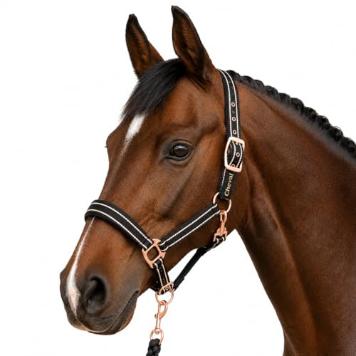 Cavezza per cavalli con glitter in oro rosa, cavezza cavallo in nero e rosa, regolabile in 2 posizioni (nero oro rosa, sangue caldo (Full))