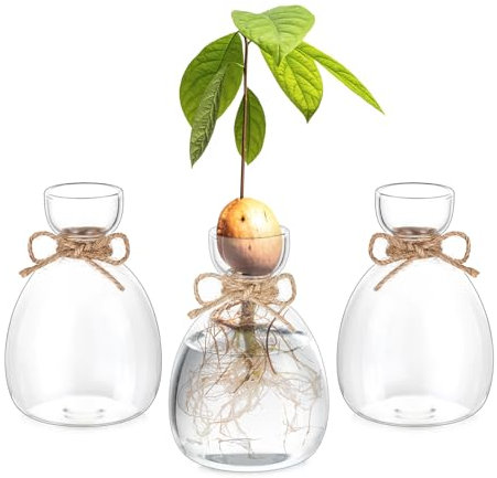 Hewory Propagation Station Cadeaux pour les femmes : 3 plantes Terrarium Vase en verre d'avocat Vase pour décoration de salon - Vases hydroponiques décoratifs Vase en verre transparent moderne Petits